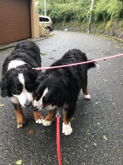 週末はタブグラハウスへ