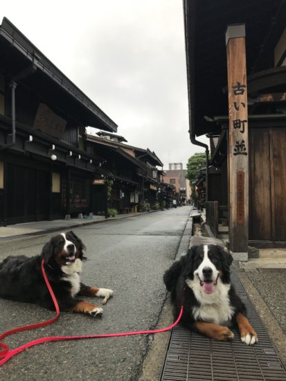 くるま旅で岐阜～福井へ 1