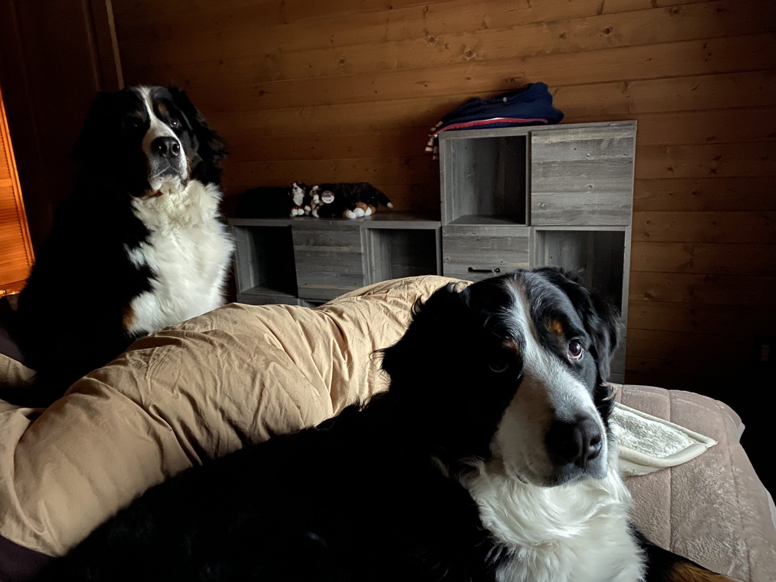 タブグラハウスでお仕事