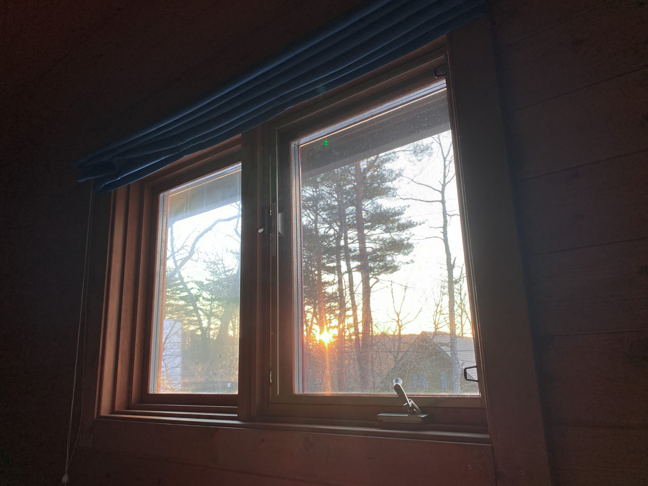 タブグラハウスが大好きなタブとグラ