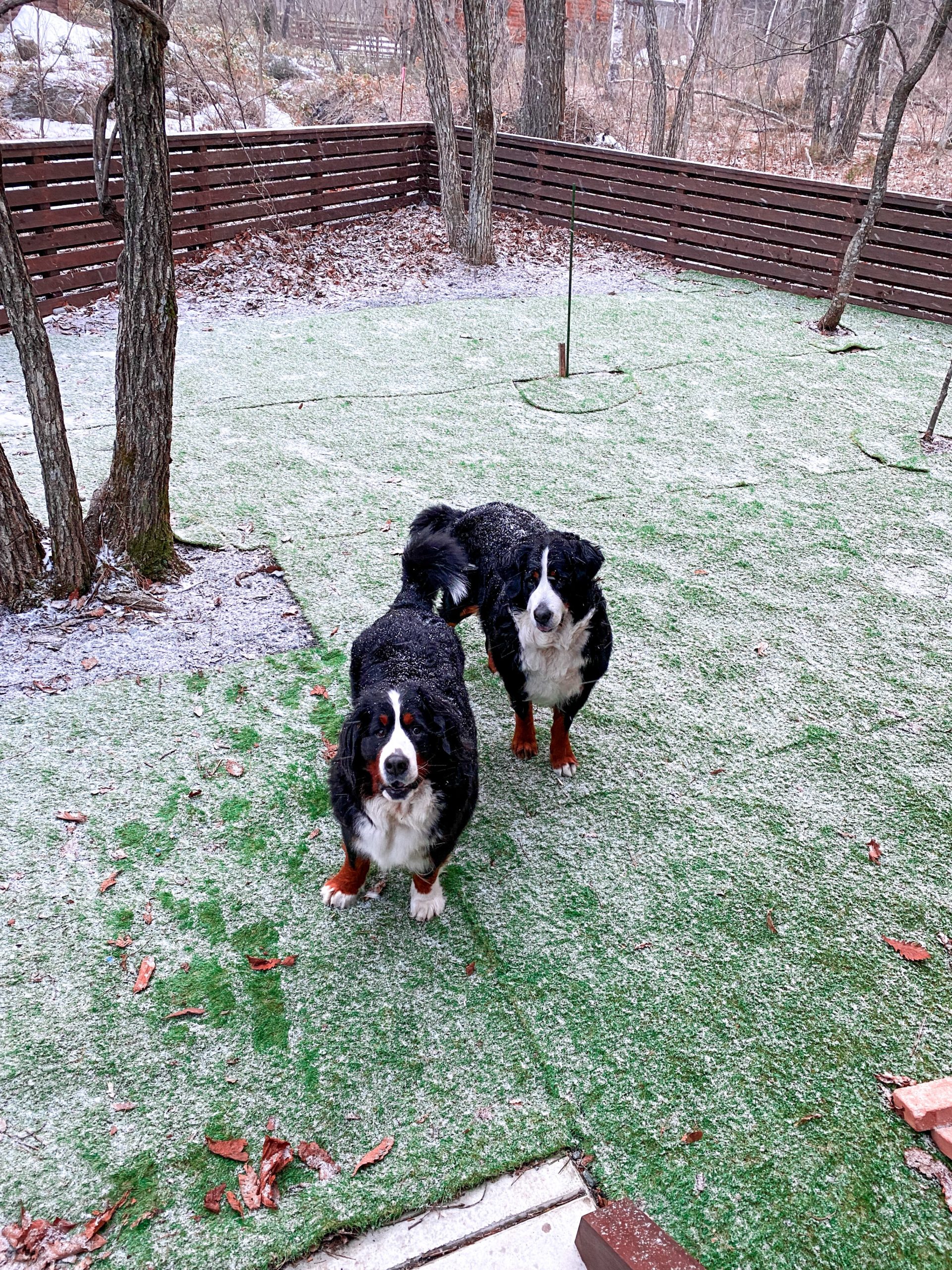 ちょっとお出かけ