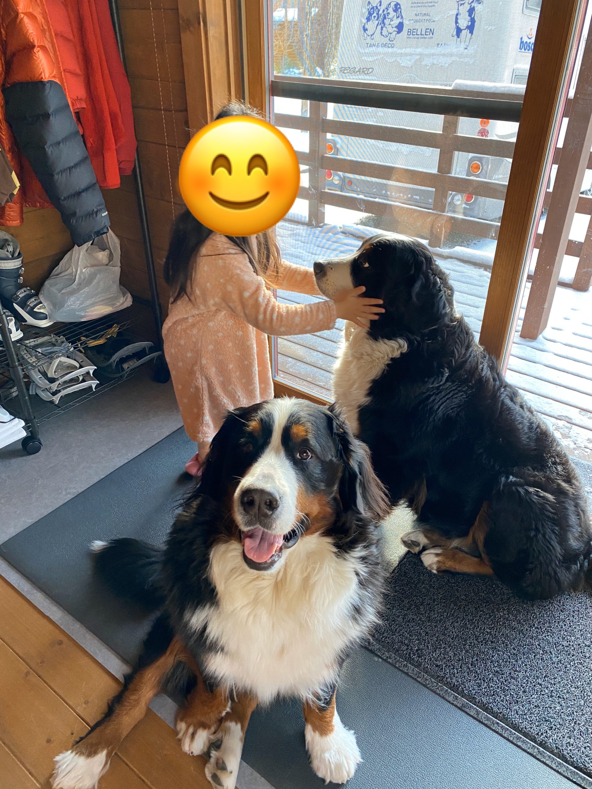 姪っ子がやってきた