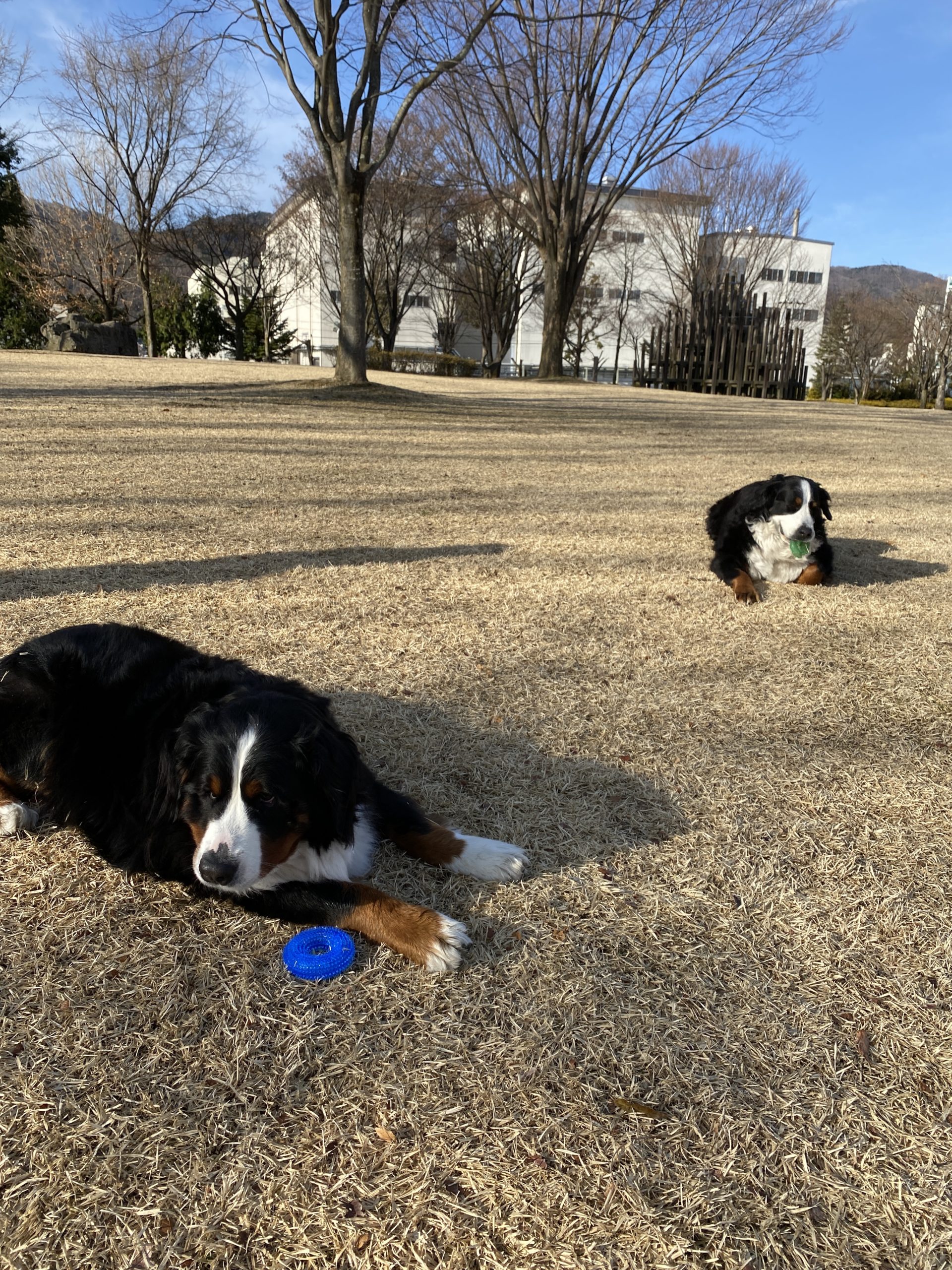 キャンピングカーメンテへ