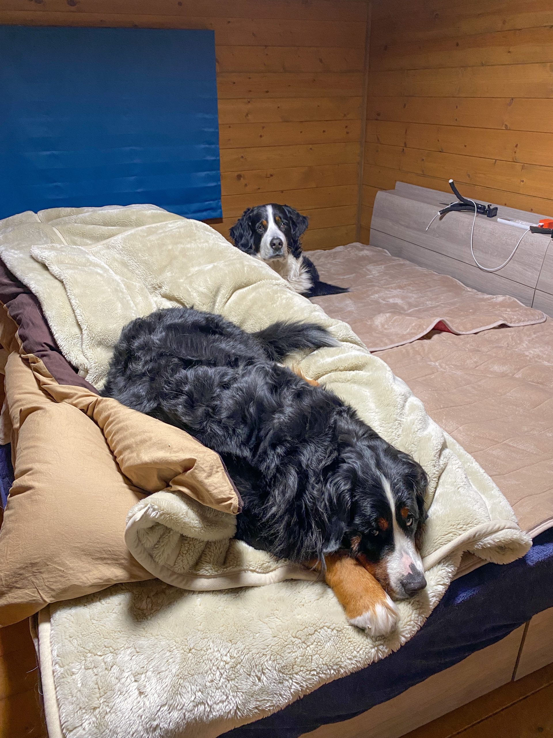 仕事環境強化！