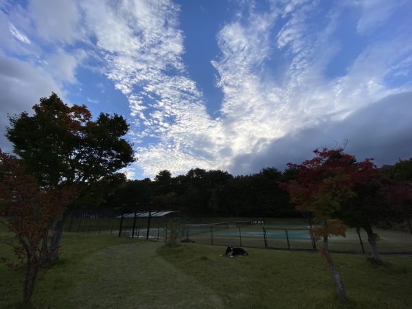 洋裁にハマる…そしてUFO