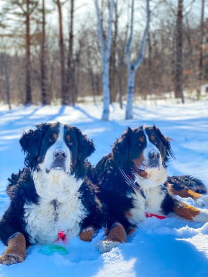 朝は寒くて日中暖か