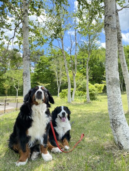 6月に入っても良い天気