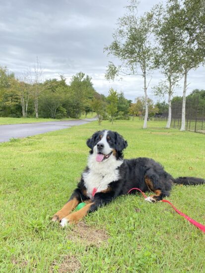 夏も終わり…かな？