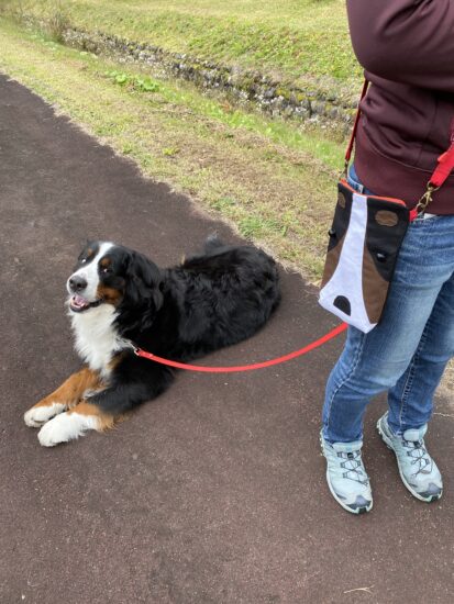 バニサコッシュ